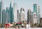 UAE TO INTRODUCE NEW VISIT VISA FOR JOB SEEKERS